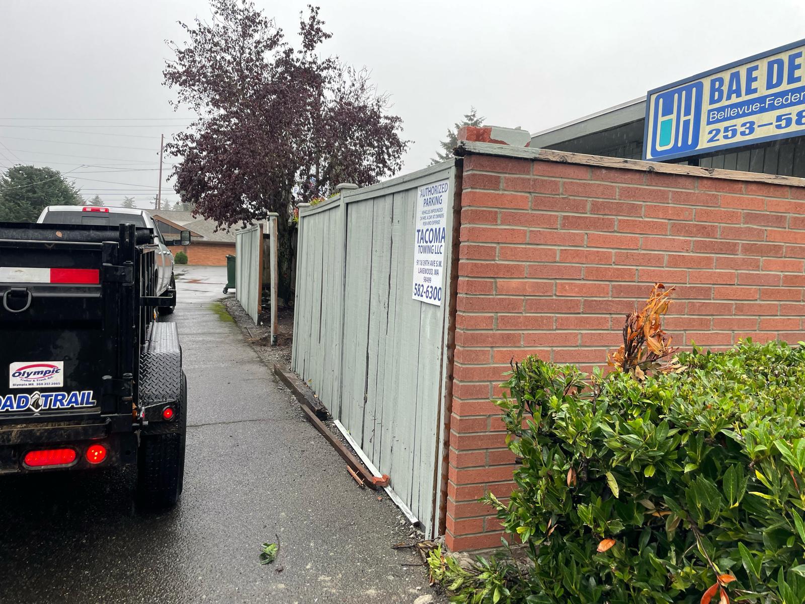 Mojave desert in the sun