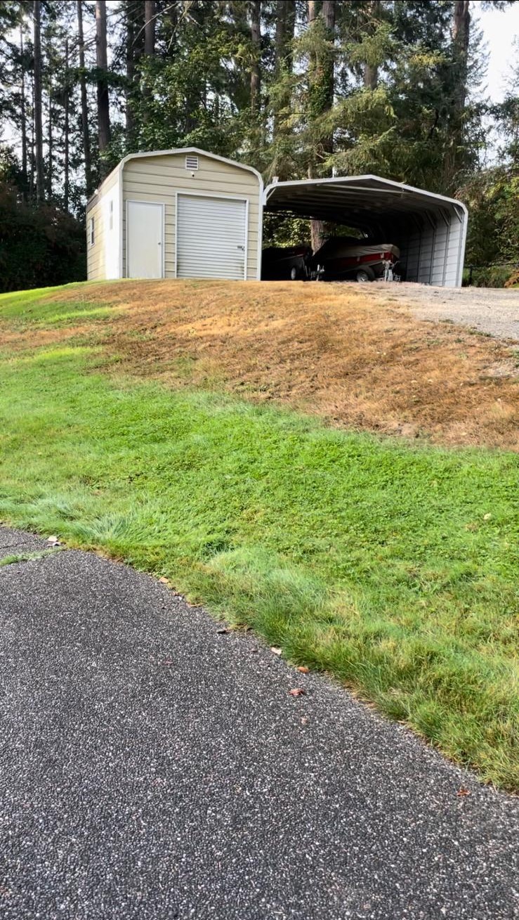 Mojave desert in the sun