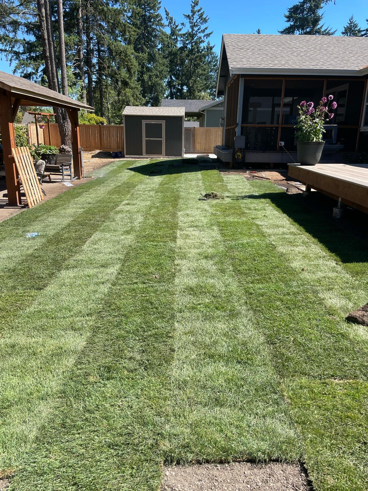 Mojave desert in the dark