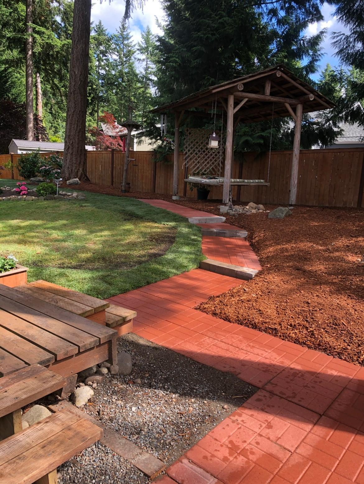 Mojave desert in the dark