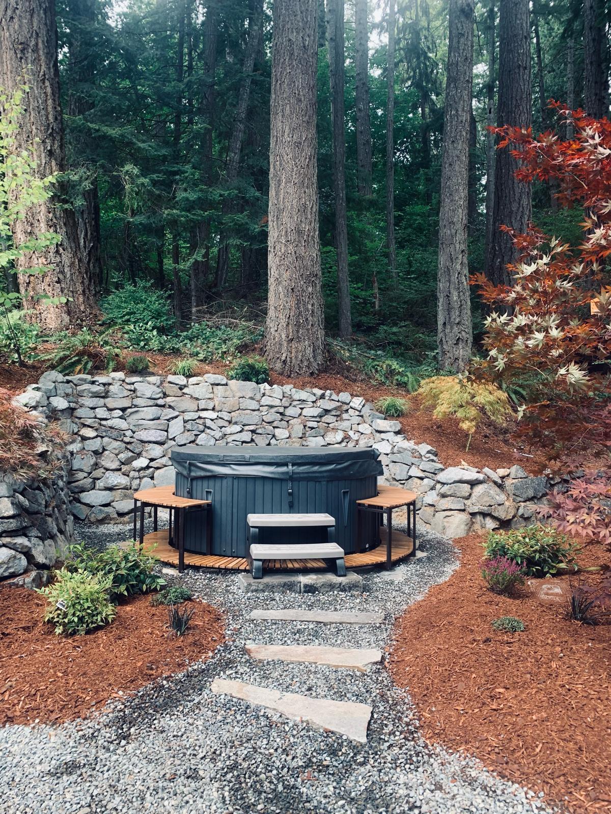 Mojave desert in the dark