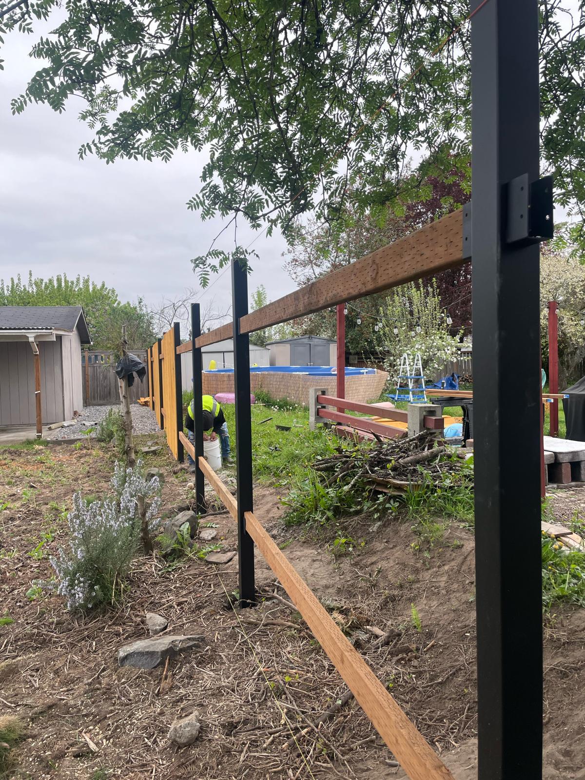 Mojave desert in the sun