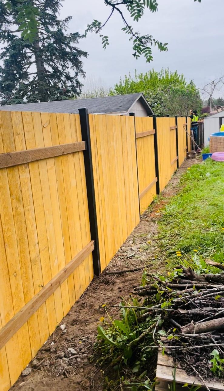 Mojave desert in the dark