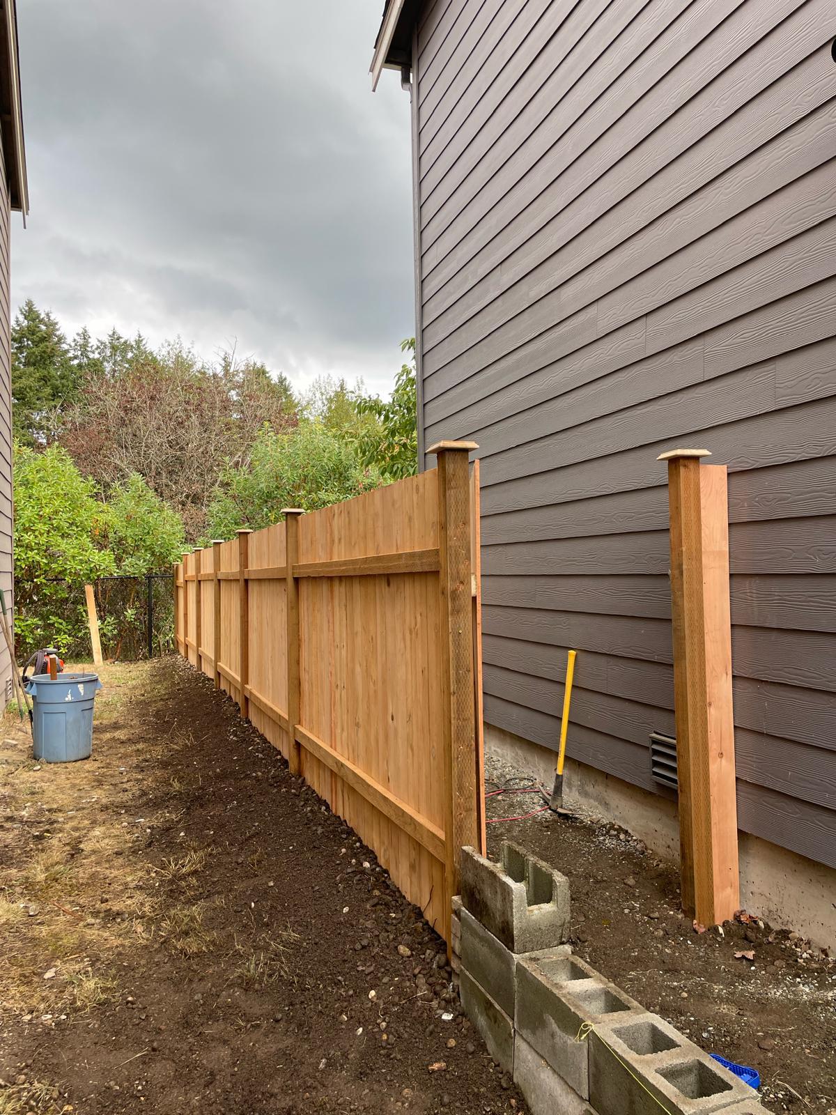 Mojave desert in the dark