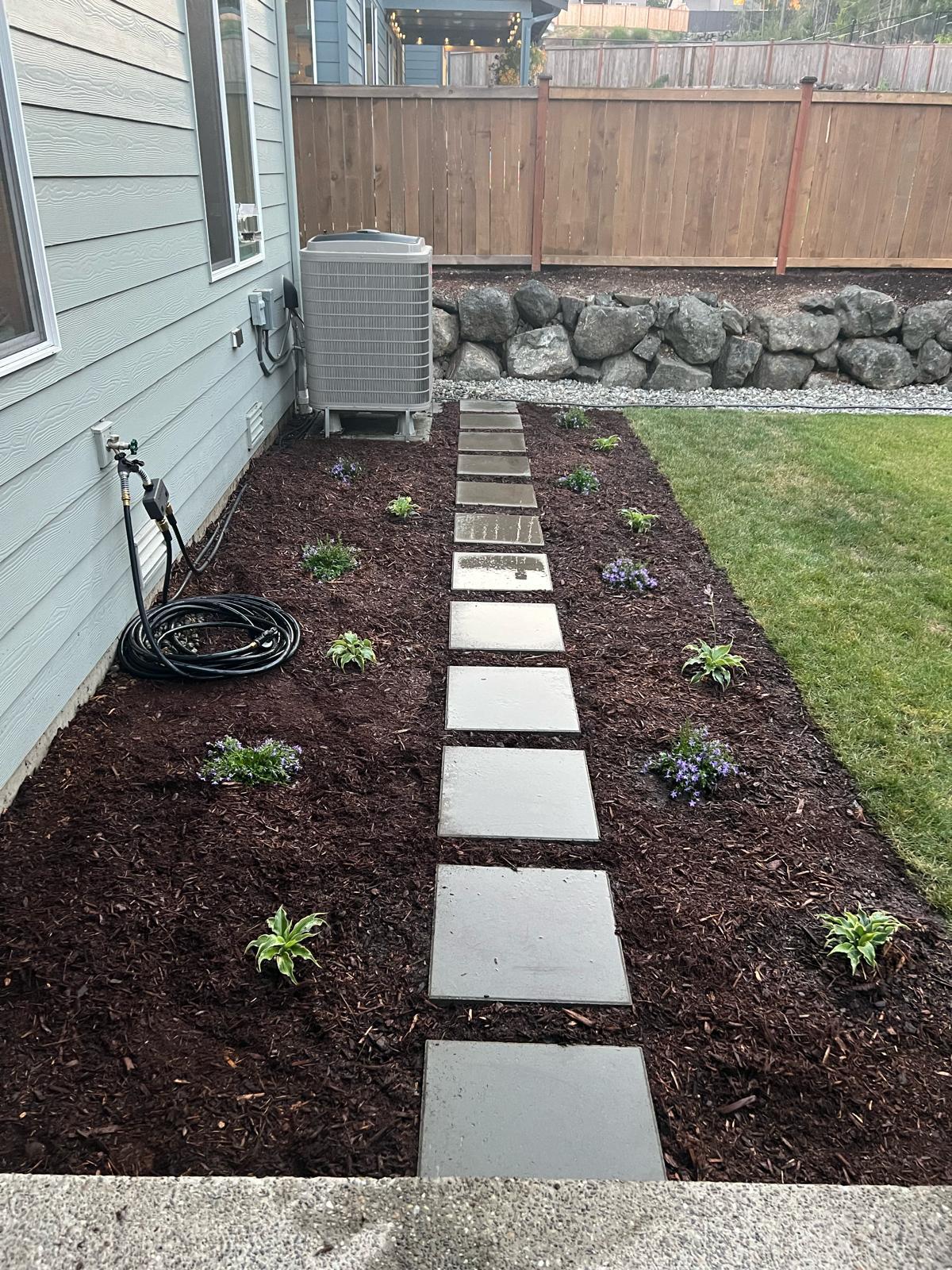 Mojave desert in the dark