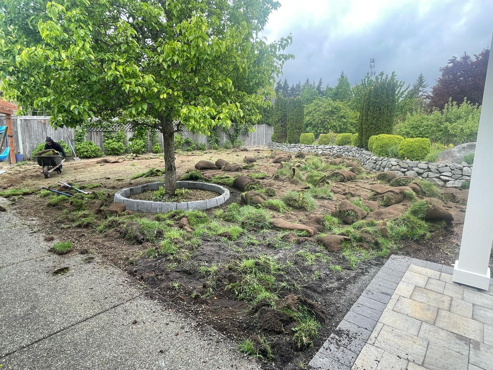 Mojave desert in the sun