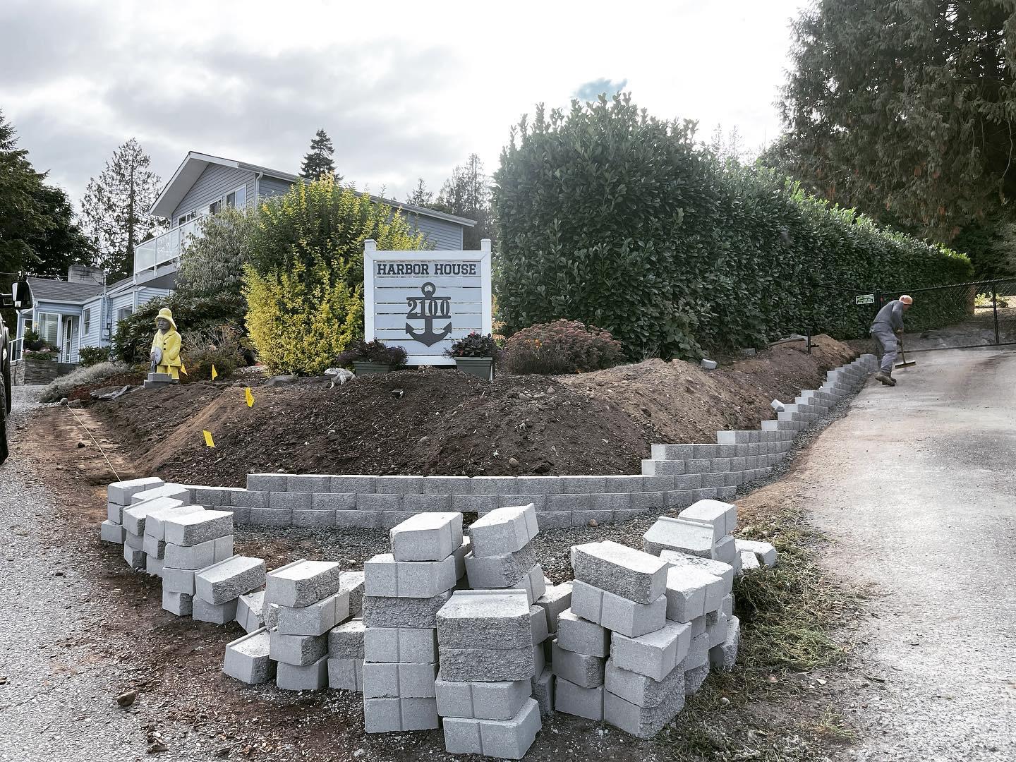 Mojave desert in the sun