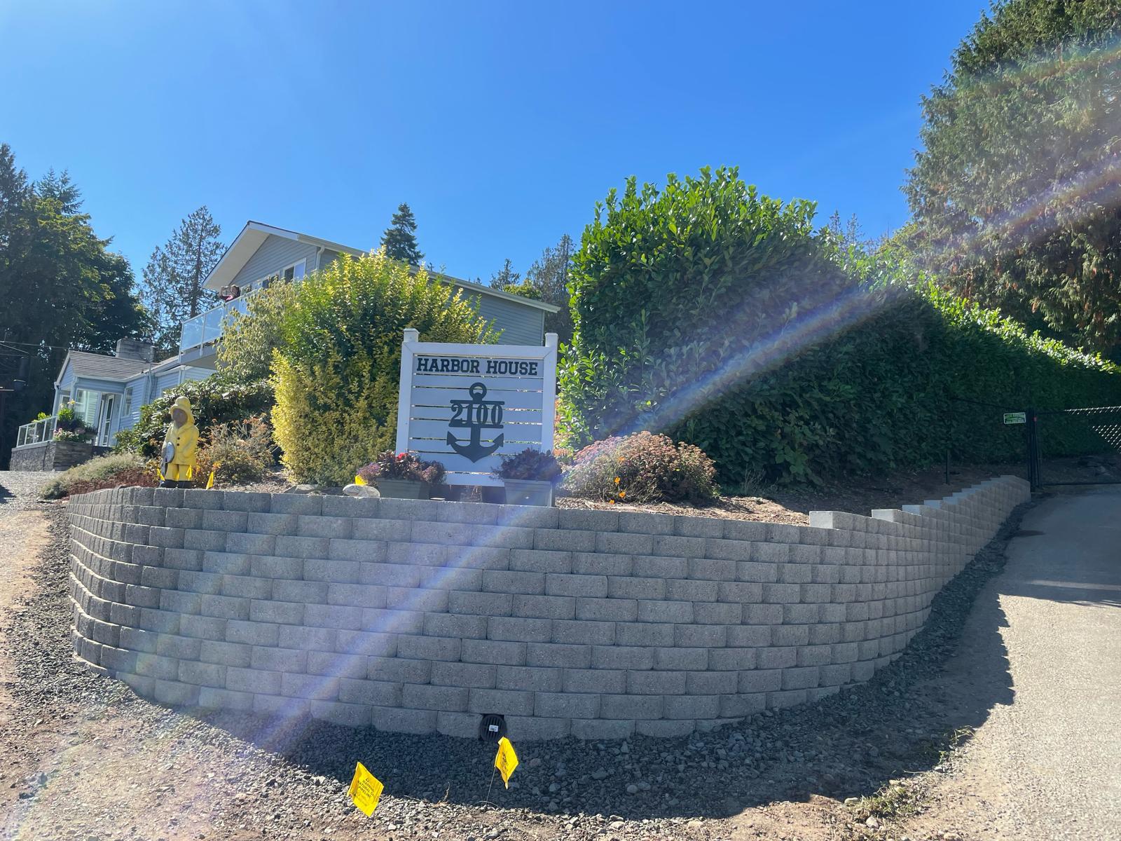 Mojave desert in the dark