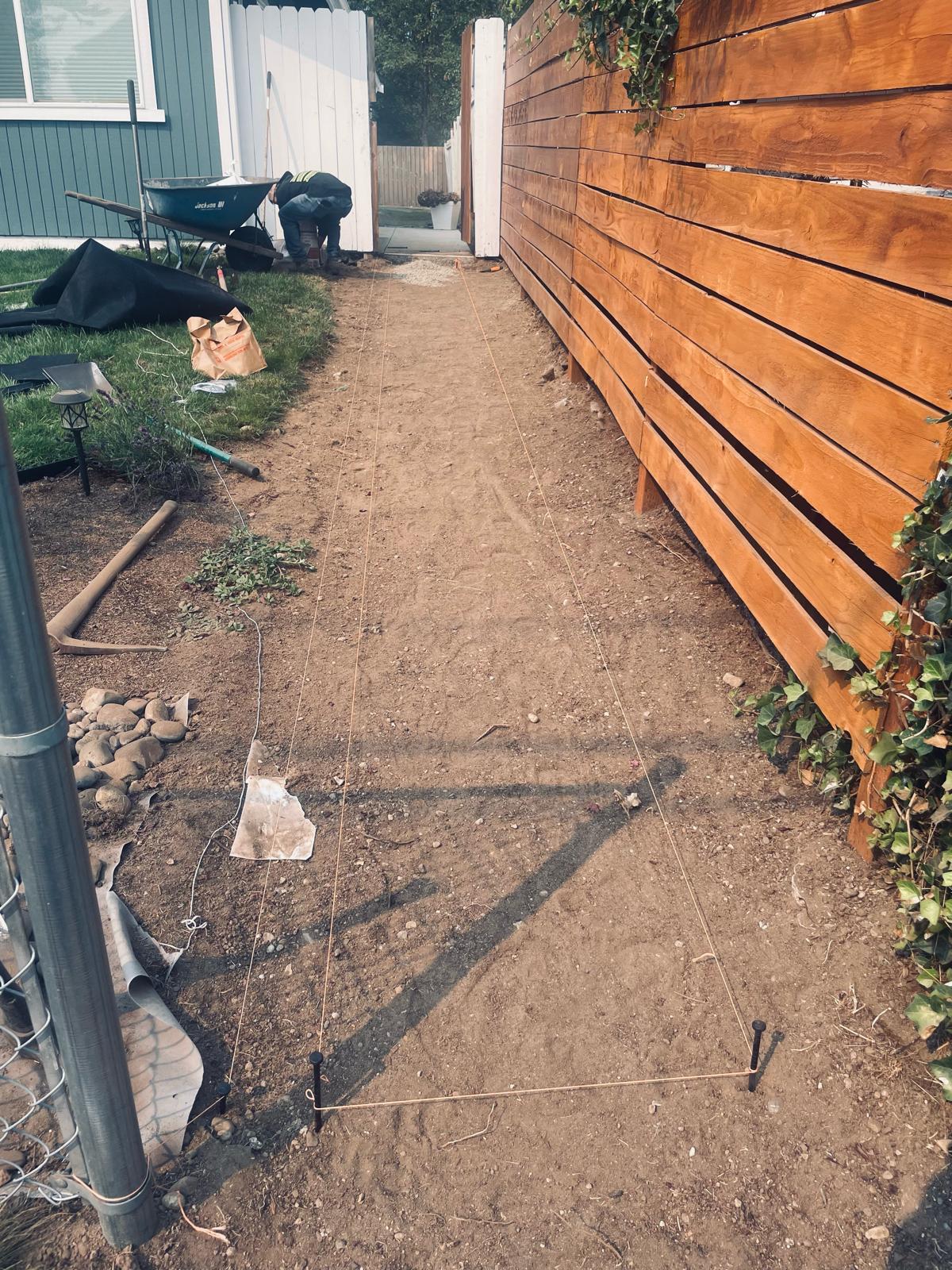 Mojave desert in the sun