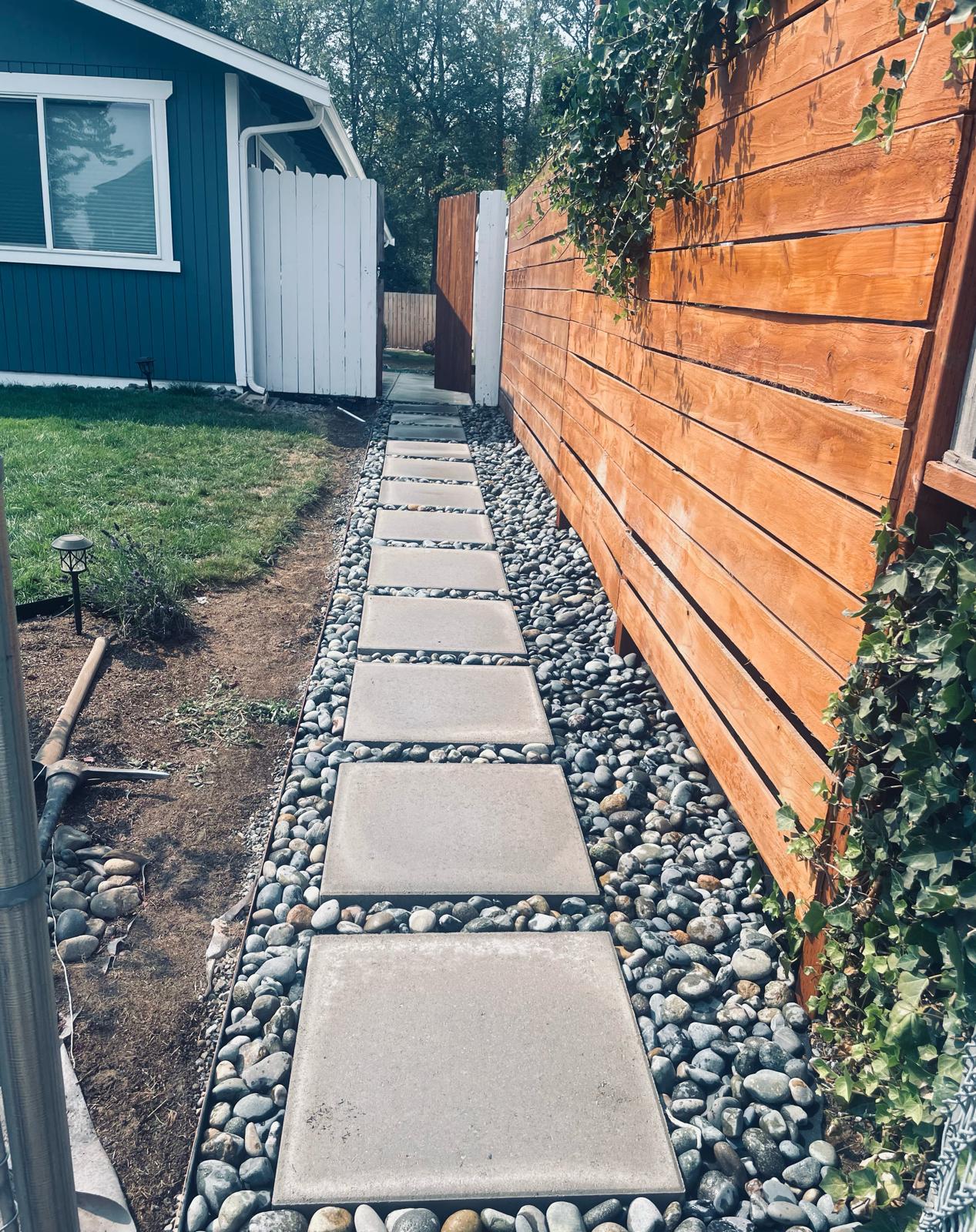 Mojave desert in the dark